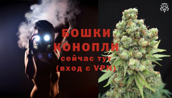 шишки Уссурийск