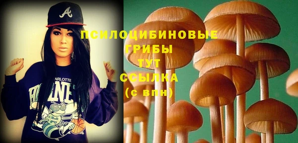 2c-b Михайловск