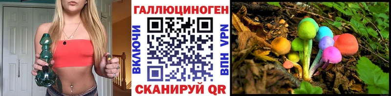Галлюциногенные грибы Psilocybe  как найти   Шагонар 